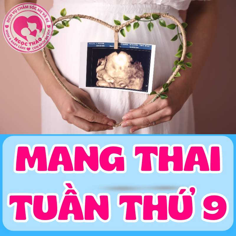 sự phát triển của thai nhi ở tuần thai thứ 9 của thai kỳ